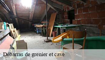 Débarras de grenier et cave 75 Paris  SPECIALISTES DE L'ANTIQUITE PARIS