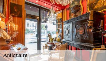Antiquaire 75 Paris Delsuc Antiquaire 75